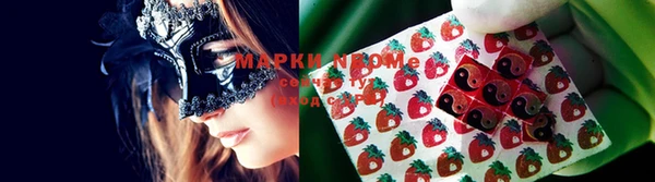 гидропоника Алексеевка