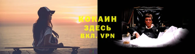 mdpv Алзамай