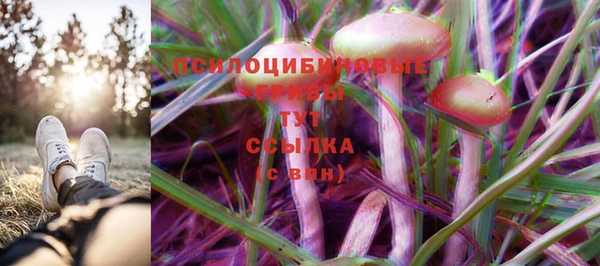 гидропоника Алексеевка